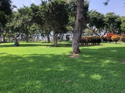 VENDO DPTO CON VISTA A PARQUE TERRAZA