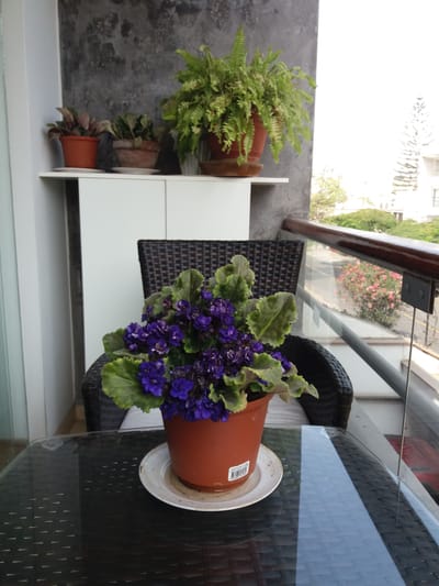 Venta de Departamento en Santiago De Surco