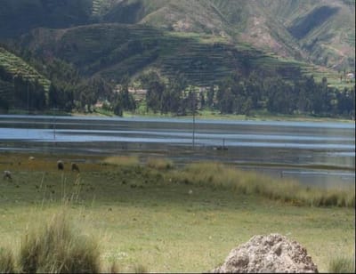 Terreno / Lote en Venta en Urubamba