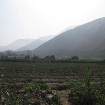 TERRENO PACHACAMAC