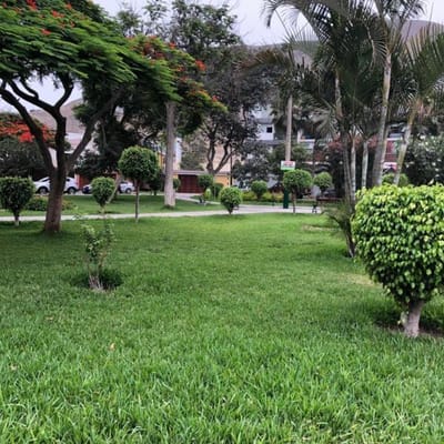 Casita en condominio Monterrico 3 dorm.