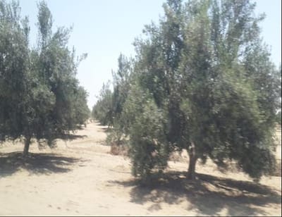 Venta de Terreno en Paracas