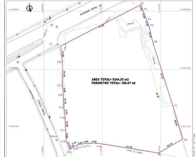 Terreno / Lote en Venta en Cerro Colorado