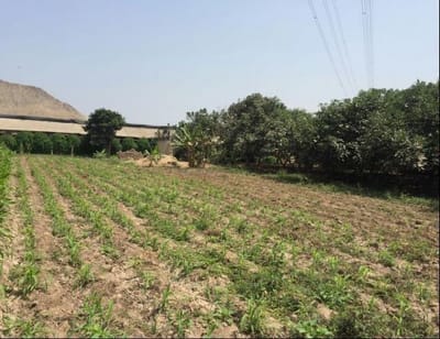 BUEN TERRENO EN VENTA  ALT CASA HACIENDA LOS FICUS