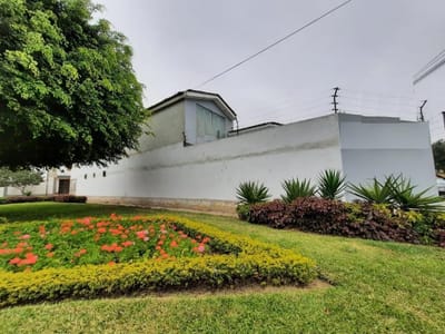 Local Comercial en Alquiler en Santiago De Surco