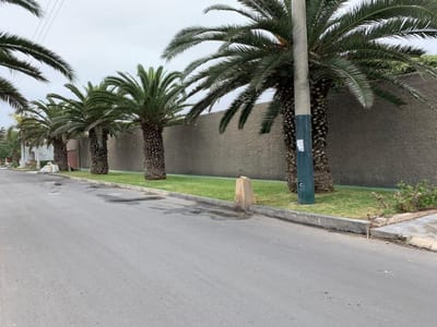 LA ENCANTADA DE VILLA TERRENO CERCADO DE 1000m2 PARA TRES PISOS