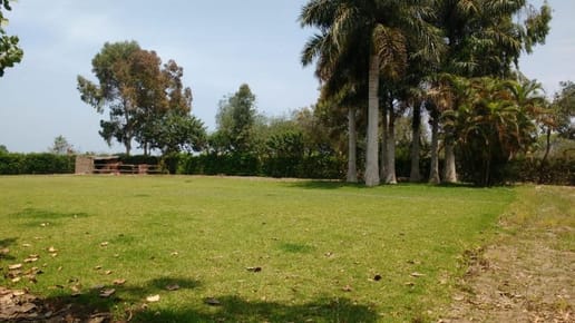 TERRENOS EN VENTA FUNDO REAL PALMERA SECTOR LUMBRERAS MALA