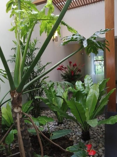 Alquiler de Departamento en Miraflores