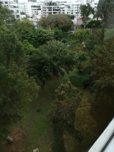 ALQUILER VISTA A PARQUE VILLENA