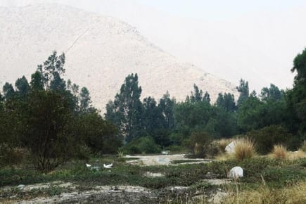 HERMOSO TERRENO EN SANTA EULALIA