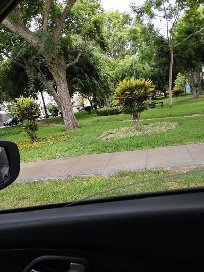 VISTA PARQUE