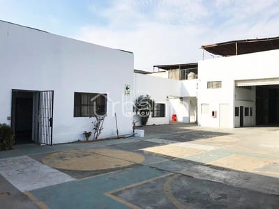 Local Comercial Jr. Perseo - Chorrillos