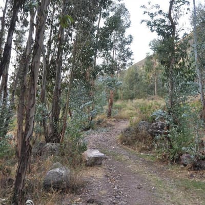 Venta de Terreno  en el centro mundo