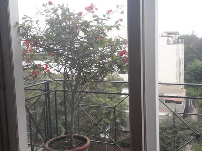 Lindo Pent house duplex con terraza y piscina Llamar lal 999652274
