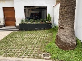 Alquilo local en San Isidro LLamar 999652274
