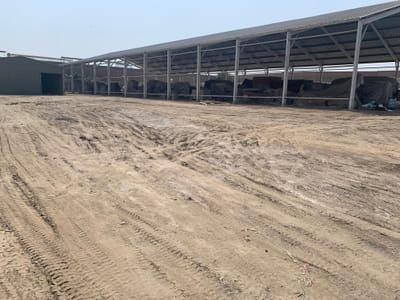 VENDO TERRENO CON FABRICA ENTRE TRAPICHE Y CARRETERA PANAMERICANA NORTE COMAS