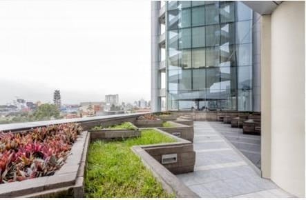 ESPECTACULAR LOCAL COMERCIAL 1,744 M2 - CENTRO DE SAN SIDRO