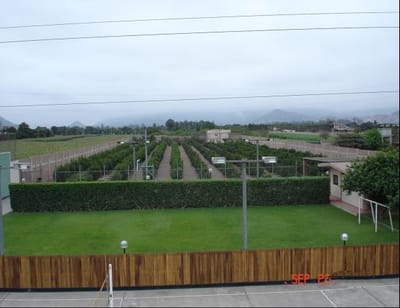 Venta de Terreno residencial en Pachacamac