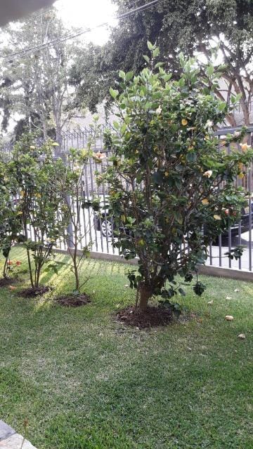 Departamento en Venta en San Isidro