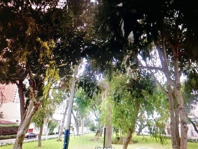 Venta de Departamento en San Isidro
