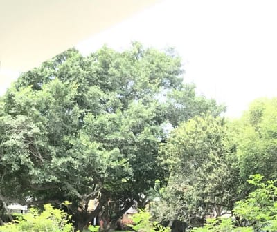Alquiler de Departamento en San Isidro