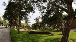 DEPARTAMENTO CHABRIER CON FONDO A PARQUE