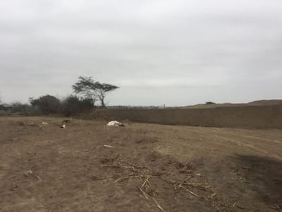 VENTA DE TERRENO EN SUNAMPE - CHINCHA