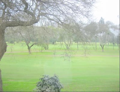 LINDO DEPARTAMENTO EN ALQUILER GOLF COLONY