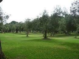 BONITO  PH FLAT FRENTE AL OLIVAR, LINDA VISTA ALQUILER