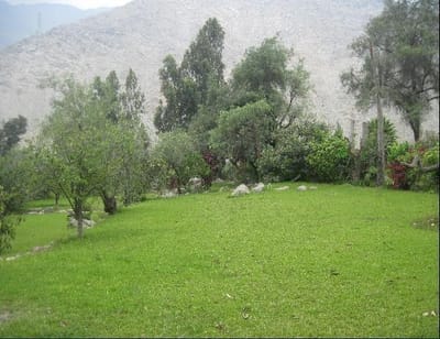 Terreno Santa Eulalia La Parca