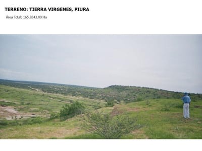 Venta de Terreno agrícola en Piura