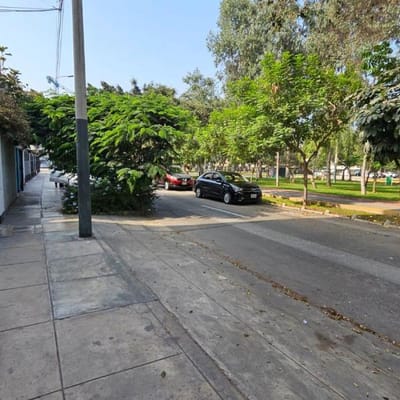 Local Comercial en San Borja Sur frente a Parque