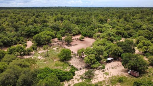 Propiedad de 500 Ha en venta para ganadería
