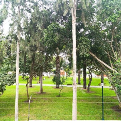 ALQUILER DE DEPARTAMENTO EN MIRAFLORES