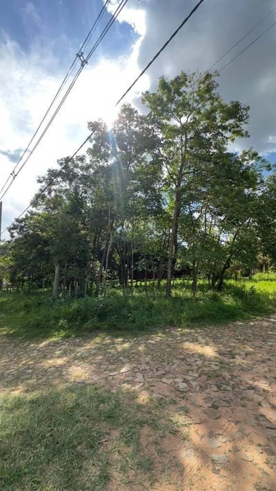 Terreno en venta en San Bernardino