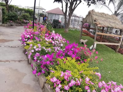 138,000 OCASION PRECIOSO DPTO.CERCA AV. PRIMAVERA-MONTERRICO-UPC-ESAN-PAD PIURA