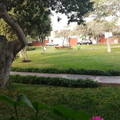 PRIMER PISO VISTA A PARQUE, CERCA UPC, AV. PRIMAVERA