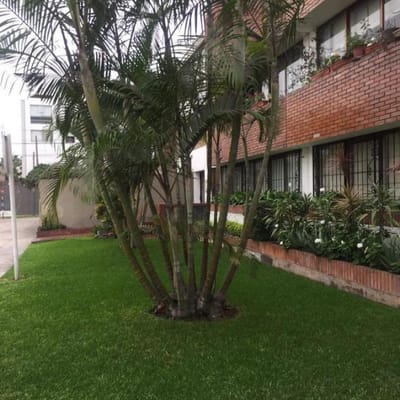 Las Gardenias, 1 x 1 alquiler cerca Av. Benavides, Caminos del Inca