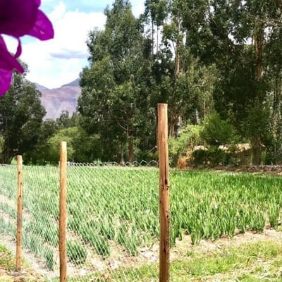 PRECIOSO TERRENO 1,050 Mts2 LA RECOLETA URUBAMBA VALLE SAGRADO
