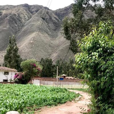 OCASIÓN $89 X Mt2 LINDO TERRENO EN SECTOR MEDIA LUNA URUBAMBA
