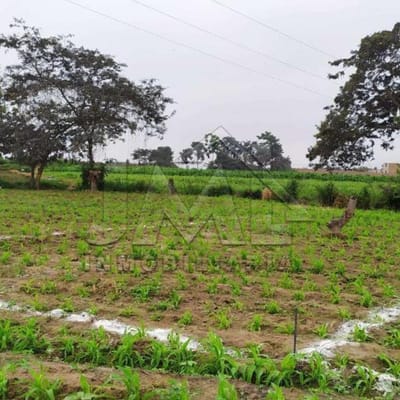¡ OCASIÓN ! LOTES EN LAREDO PORVENIR 97 Y 100 M2 - TRUJILLO
