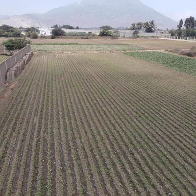 TERRENO EN SANTO DOMINGO DE 2355.4 m2 ( 25m de frontera x 94m de fondo) CERCA A FUNDO LA FE
