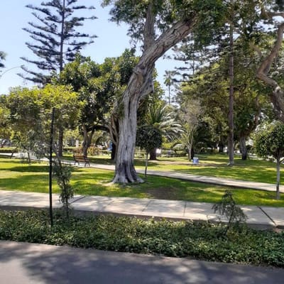 VENDO CASA COMO TERRENO EN MIRAFLORES  MT  PARAMETRO  PISO