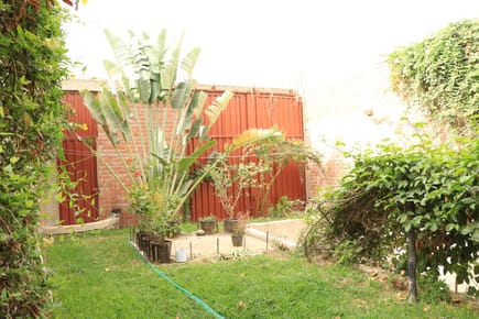 CASA CAMPO EN VENTA – LA PRIMAVERA CASTILLA - PIURA