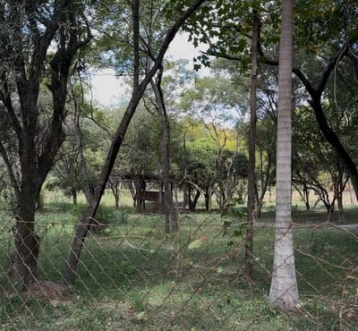 TERRENO EN SURUBI'I EN VENTA