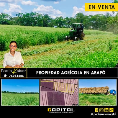 Propiedad agricola en venta en Santa Cruz, Abapo, Camiri