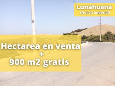 Hectárea en venta a 10 min de Lunahuaná