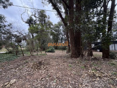 Terreno en Ocean Park - Punta Ballena