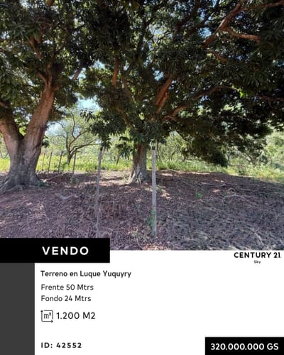 En Venta amplio terreno en Luque 