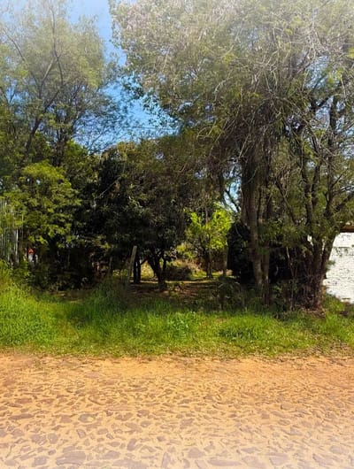 VENDO TERRENO EN PALMA LOMA LUQUE